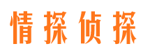 普格找人公司